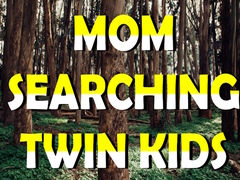 Jeu Mom Searching Twin Kids