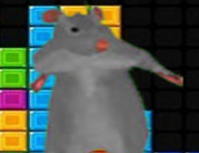 Jeu Ratomilton Falling Blocks.