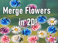 Jeu Merge Flowers in 2D!