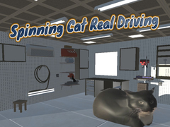 Jeu Spinning Cat Real Driving