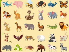 Jeu Discover Animals