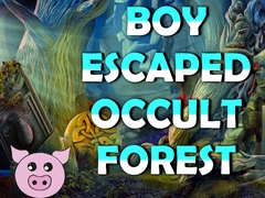 Jeu Boy Escaped Occult Forest