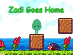 Jeu Zadi Goes Home