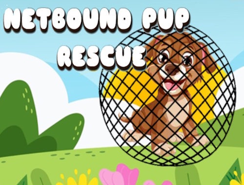 Jeu Netbound PUP Rescue 