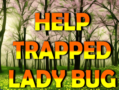 Jeu Aidez la dame piégée Bug .