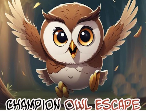 Jeu Champion Owl Escape .