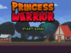 Jeu Princess Warrior