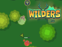 Jeu Wilders.io