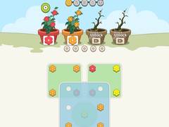 Jeu Flower Collection