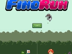 Jeu Fino Run