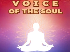 Jeu Voice Of The Soul