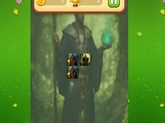 Jeu Nature Druid Memory Match