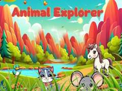 Jeu Animal Explorer 