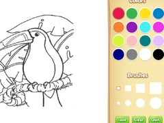 Jeu Amazon Rainforest Coloring Book for Kids
