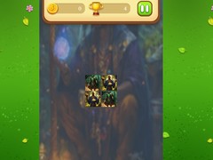 Jeu Magic Druid Memory Match