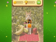 Jeu Farm Cat Memory Match