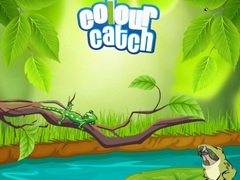 Jeu Colour Catch