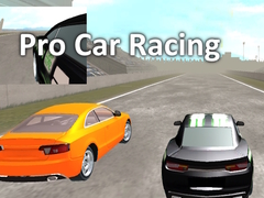 Jeu Pro Car Racing