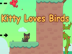 Jeu Kitty Loves Birds