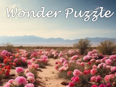 Jeu Wonder Puzzle