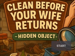 Jeu Clean Before Your Wife Returns Hidden Object