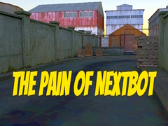 Jeu The Pain of Nextbot