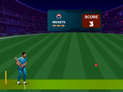 Jeu Cricket Night 2