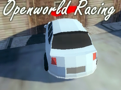 Jeu Openworld Racing