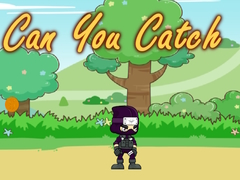 Jeu Can You Catch