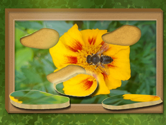 Jeu Find & Restore: Hidden Puzzle