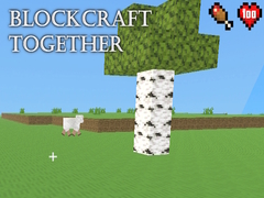 Jeu BlockCraft Together