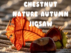 Jeu Chestnut Nature Autumn Jigsaw