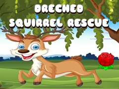Jeu Drenched Squirrel Rescue