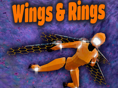 Jeu Wings and Rings