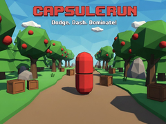 Jeu Capsule Run