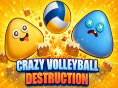 Jeu Crazy Volleyball Destruction