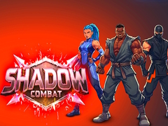 Jeu Shadow Combat