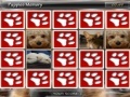 Jeu Puppies Memory
