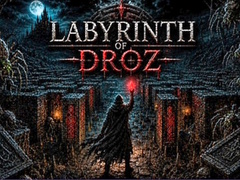 Jeu Labyrinth of Droz