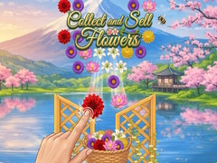 Jeu Collect and Sell Flowers