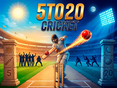 Jeu 5TO20 Cricket