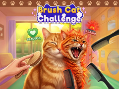 Jeu Brush Cat Challenge 