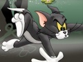 Jeu Tom And Jerry Chase In Marsh