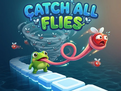 Jeu Catch All Flies