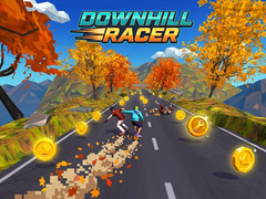 Jeu Downhill Racer