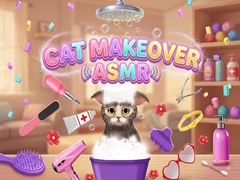 Jeu Cat Makeover ASMR