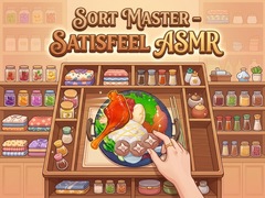 Jeu Sort Master  Satisfeel ASMR