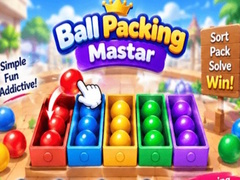 Jeu Packing Master Puzzle