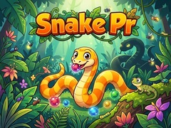 Game Snake Pr