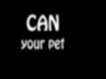 Jeu Can Your Pet